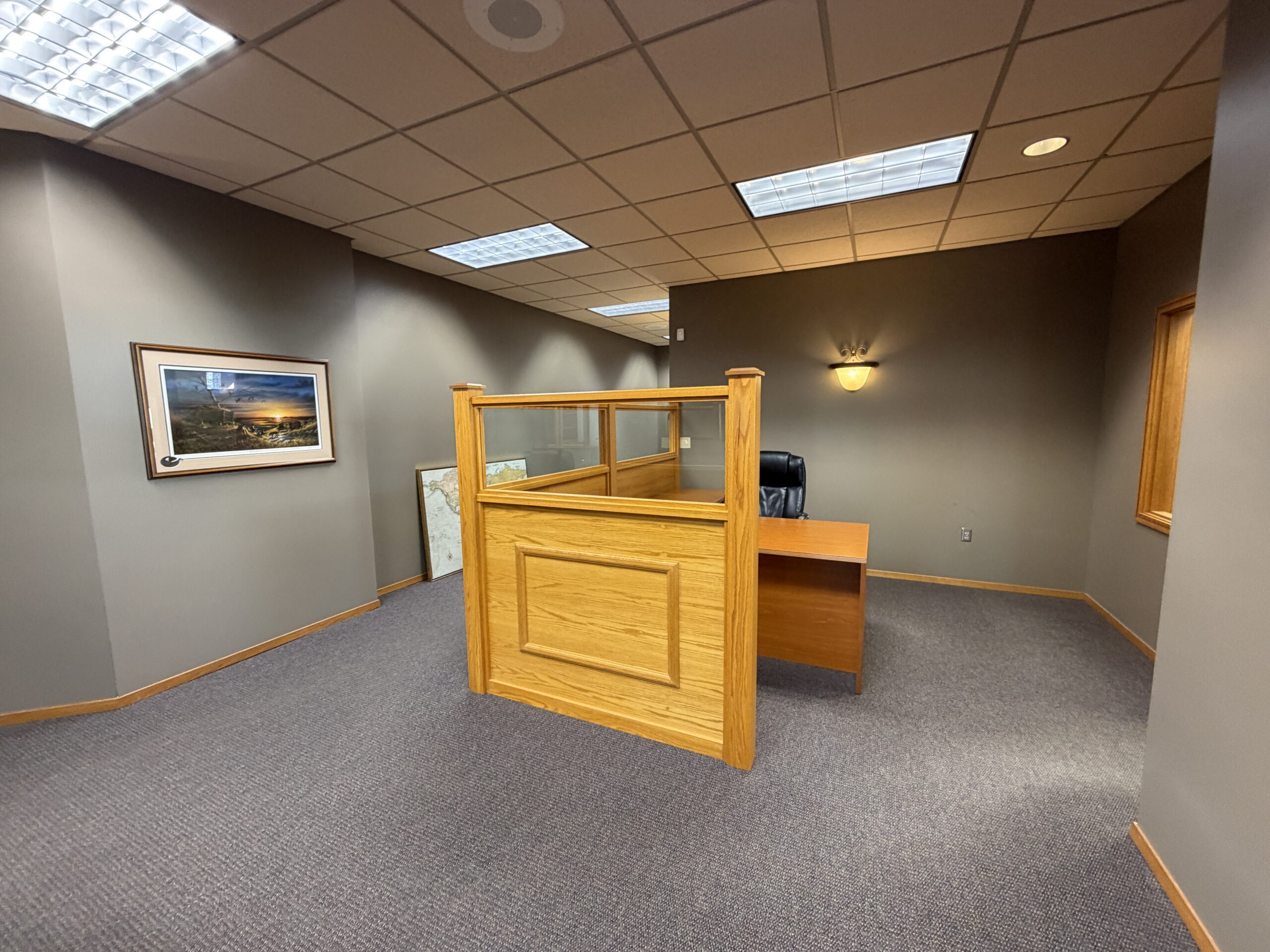 221 Main St, Chancellor (13)