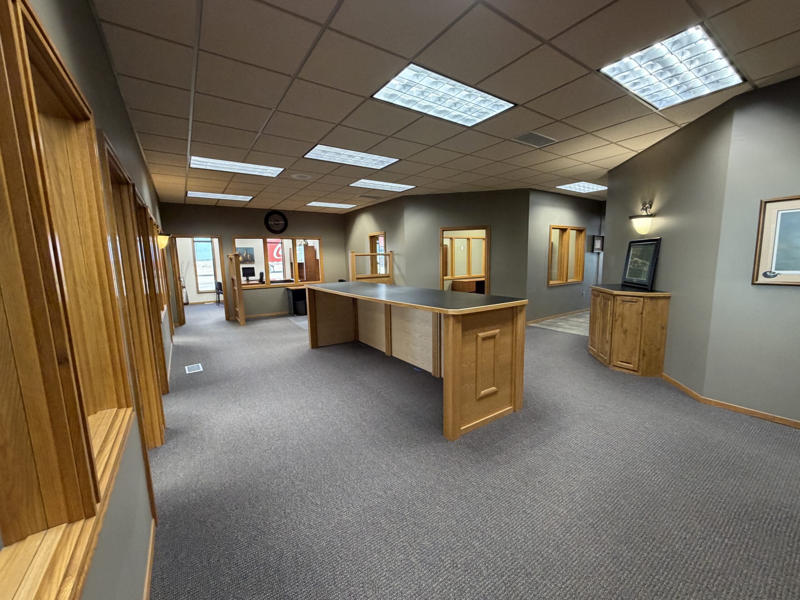 221 Main St, Chancellor (14)